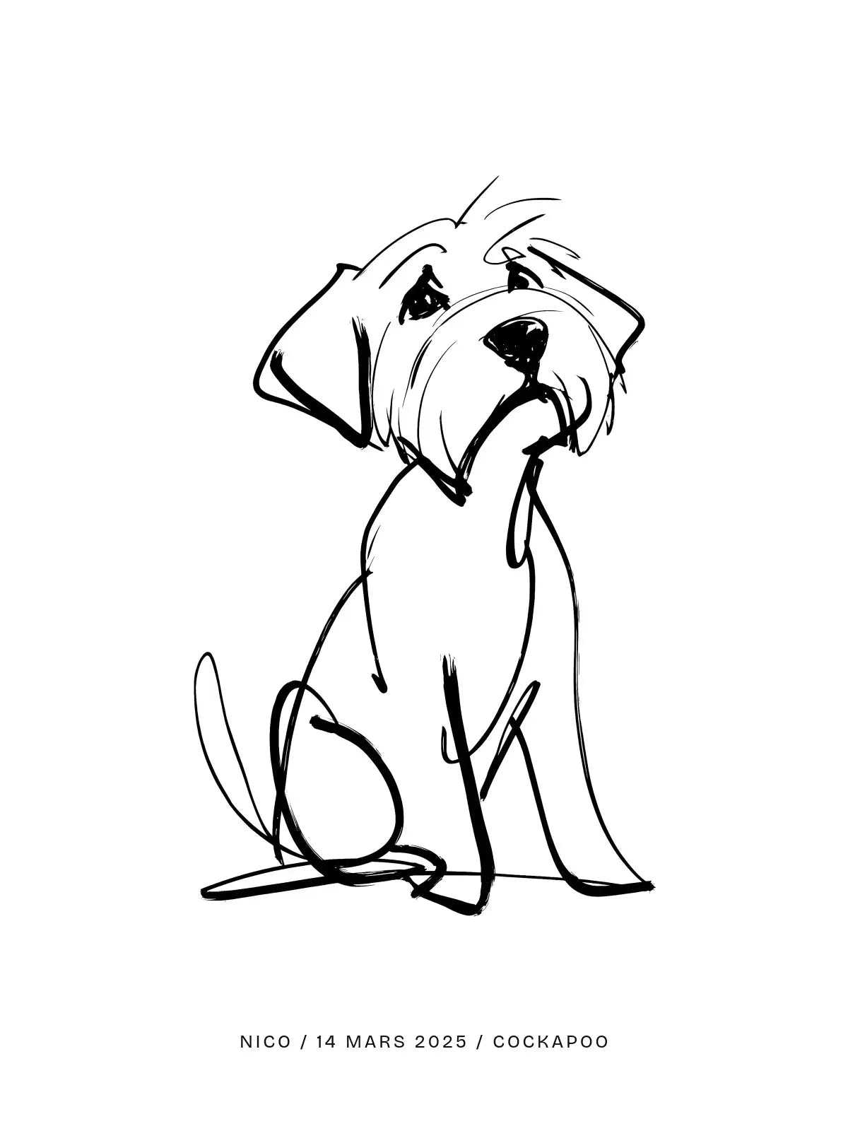 Plakat - Cockapoo plakat – Med navn og dato