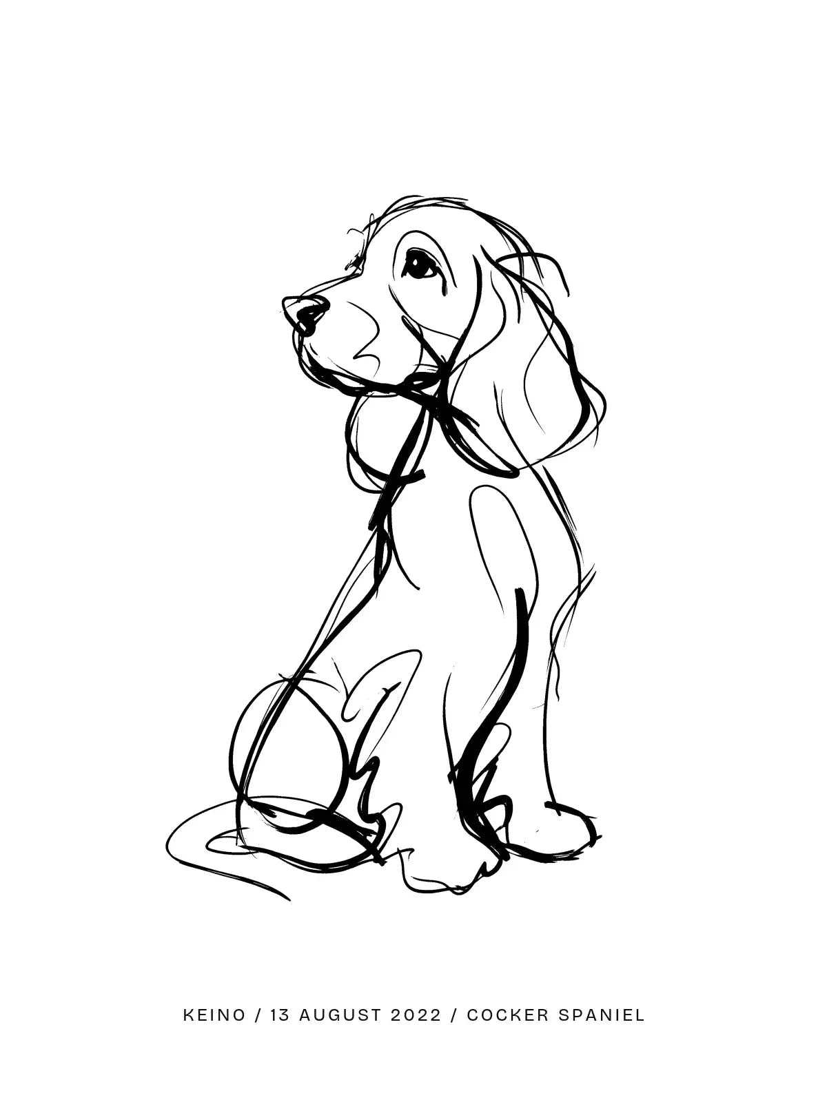 Plakat - Cocker spaniel plakat