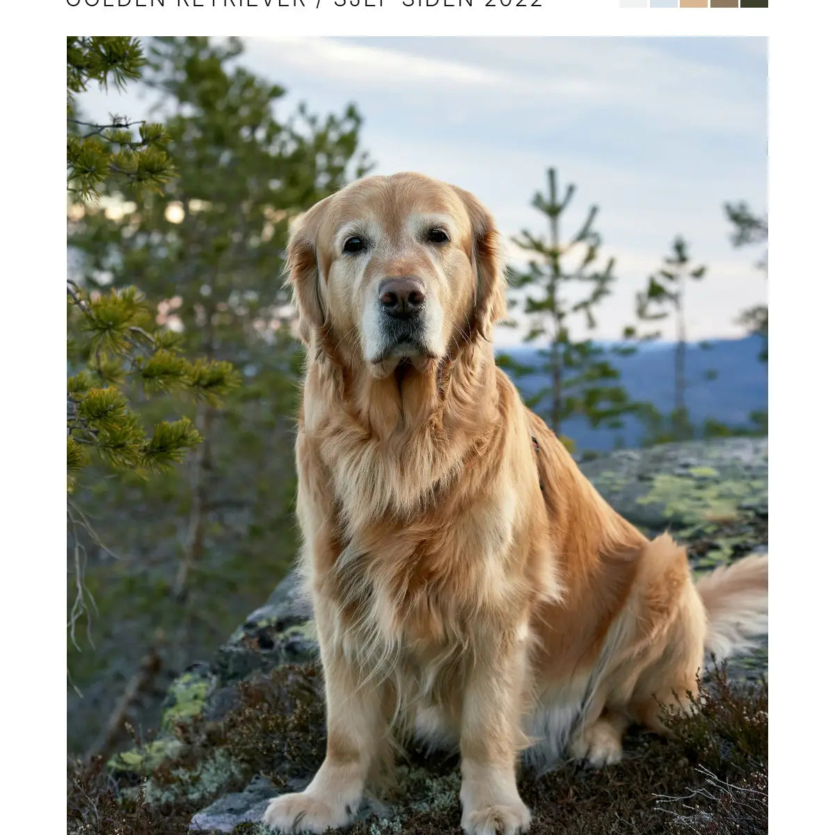 Plakat - Kjæledyrplakat med eget bilde