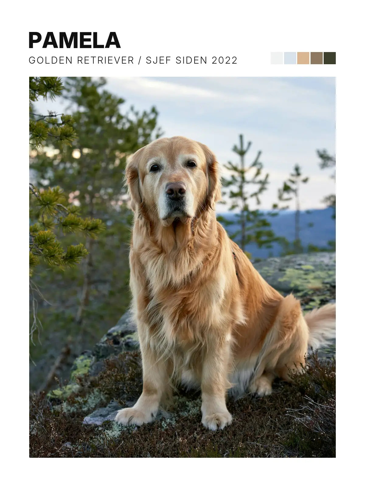Plakat - Kjæledyrplakat med eget bilde